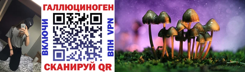 Галлюциногенные грибы Magic Shrooms  купить закладку  Зима 